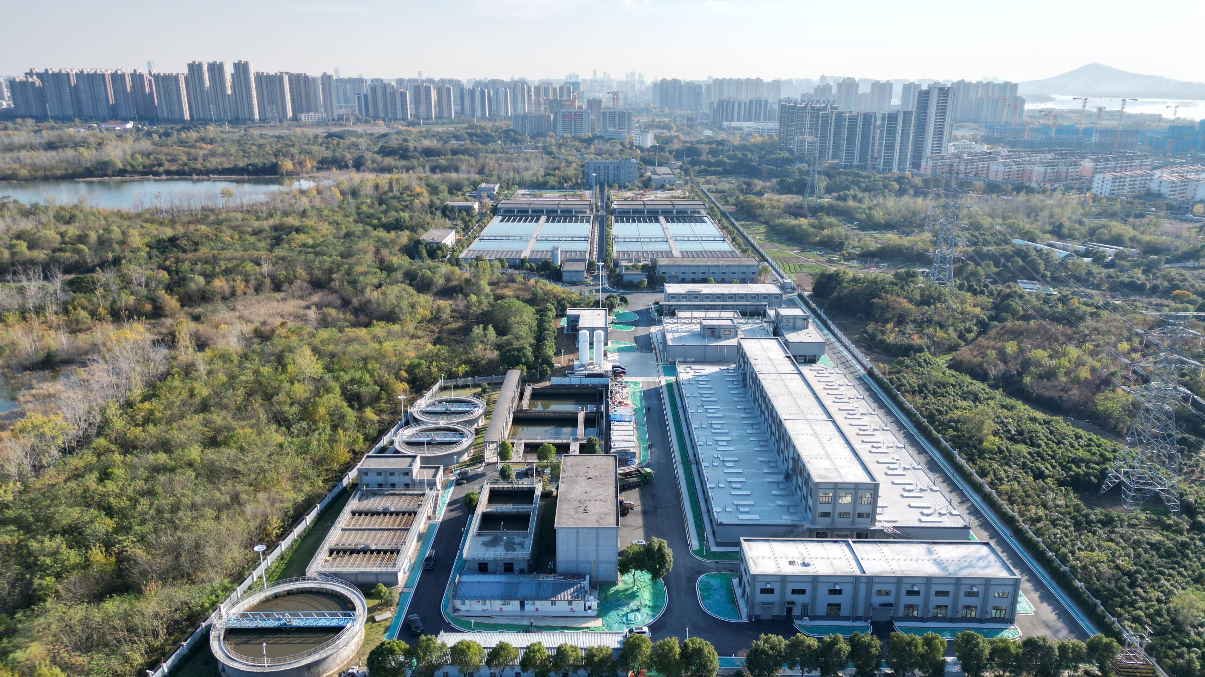 嘉峪关市合肥专业企业价值增长(合肥市重点企业产业目录)
