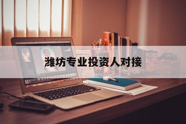 嘉峪关市潍坊专业投资人对接(潍坊专业投资人对接中心)