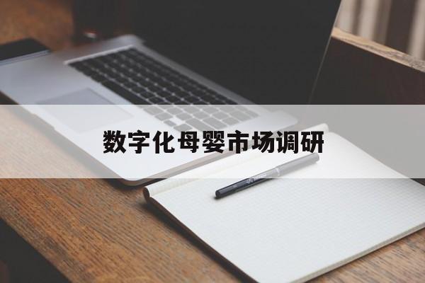 嘉峪关市数字化母婴市场调研(数字化母婴市场调研报告)